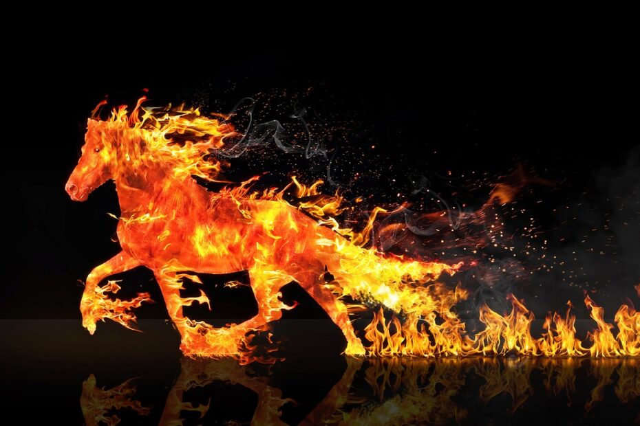 fire horse, horse running, wastage, horse, nature, fires